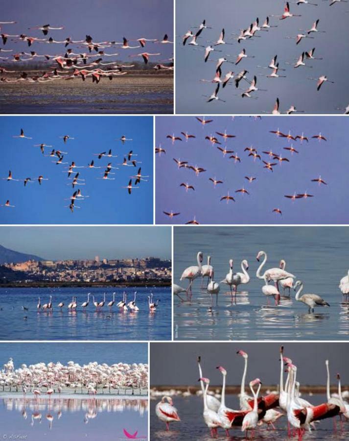 Al Corso Bed & Breakfast Cagliari Bagian luar foto